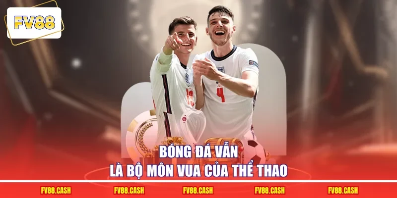 Bóng đá vẫn là bộ môn vua của thể thao