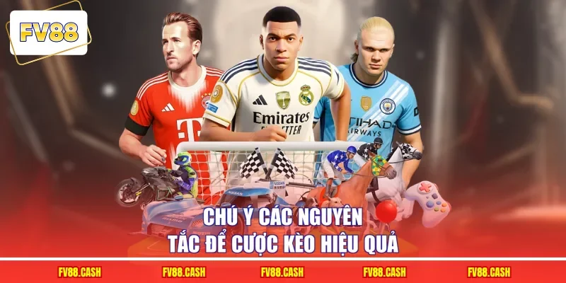 Chú ý các nguyên tắc để cược kèo hiệu quả