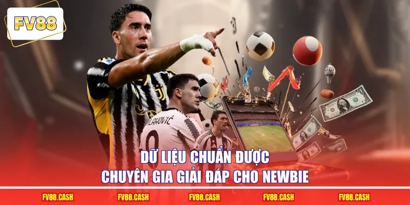 Dữ liệu chuẩn được chuyên gia giải đáp cho newbie