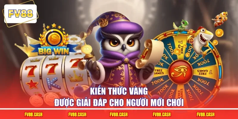 Kiến thức vàng được giải đáp cho người mới chơi